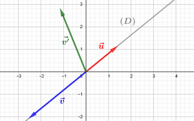 The bases of the Euclidean plane: vectors and coordinates
